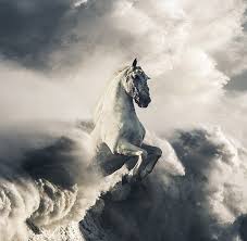 Choose from a huge collection of pristine hd photographs contributed to unsplash by a network of dedicated, passionate photographers (and free. White Horse 1080p 2k 4k 5k Hd Wallpapers Free Download Sort By Relevance Wallpaper Flare