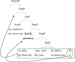 View more / help improve pronunciation. Vocatives As Parenthetical Adjuncts Evidence From Arabic