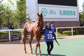 ユルークうーま On Twitter ロマンのある配合 わんだーに似てるなと思って撮っていました 調べてみると 父グラスワンダー 母父スペシャルウィーク これは なんだか凄く応援したいです グラスワンダーを愛でるシリーズ グラスワンダー産駒