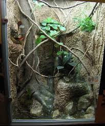 Amazing Inspirational Vivariums Picture Heavy A Must See Reptile Forums Reptile Habitat Habitats Projects Reptile Zoo