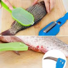 Gratte Ecailles Culinaria Cozinha Compras