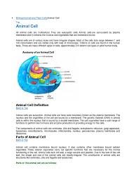 Check spelling or type a new query. Animal And Plant Cells Eukaryotes Biology