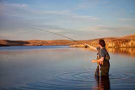 Colorado river fly fishing arizona The 5 Best Fly Fishing Spots In Arizona