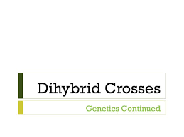 A) a monohybrid cross involves a single parent, whereas a dihybrid cross involves two parents. Ppt Dihybrid Crosses Powerpoint Presentation Free Download Id 6270960
