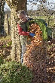 Herbstlaub Sinnvoll Verwenden Garten Garten Pflanzen Garten Anpflanzen