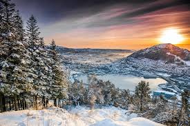 There are many opportunities for a student in one academy to interact with students from another. 14 Koselig Things To Do In Bergen In Winter Useful Tips