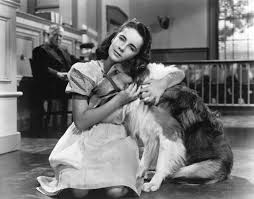 895,270 likes · 2,871 talking about this. Elizabeth Taylor Biography Movies Facts Britannica