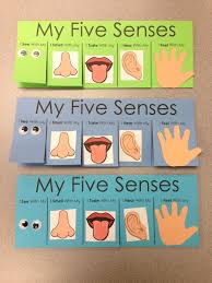Five Senses Craft Flip Book Visit Www