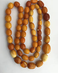 Profile for Bernstein Experte