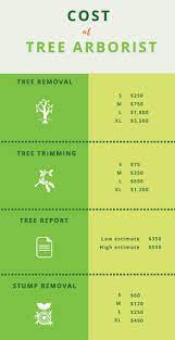 Arborist Cost Tree Service Tree Removal Cost Tree Arborist