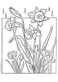 The daffodil flower is the first visible sign of spring. Print Coloring Image Momjunction Spring Coloring Pages Spring Coloring Sheets Flower Coloring Pages