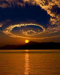 Shallow focus photo of flowers. Most Beautiful Photos In The World Home Facebook