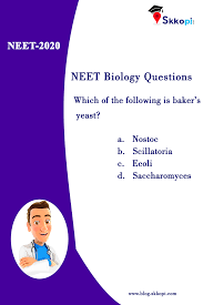 Pin On Neet Questions