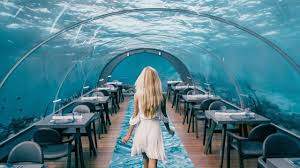 Maldives Day 1 World Biggest Underwater Restaurant At A 5 Star Resort Youtube Underwater Restaurant Maldives Luxury Resorts Maldives