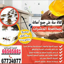شركة الصقر لمكافحة الحشرات القضاء نهائيا وبشكل فوري على جميع أنواع الحشرات والقوارض بق زهيوي صراصير نمل فئران Instagram Posts Instagram Post