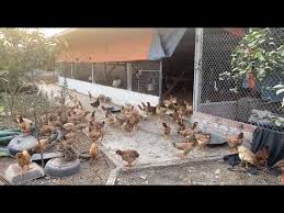 WPT Legends of Poker