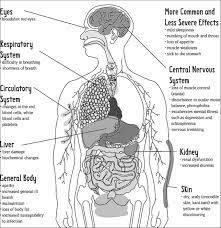 Kava Ministry Of Health Medical Services