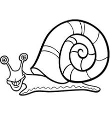 Coloring pages are fun for children of all ages and are a great educational tool that helps children develop fine motor skills, creativity and color recognition!. Coloring Snail Vector Images Over 4 500
