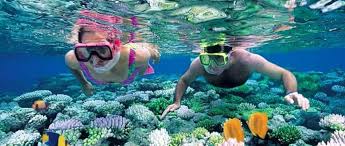 Wasini Dhow , Dolphin Excursion & Snorkeling at Kisite Mpunguti Marine park  – Samburu Trails