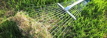 Dethatch your lawn when that becomes more than a half inch thick. How To Dethatch Lawns Bioadvanced
