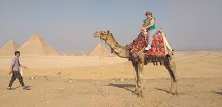 Tours and tickets by giza pyramids day tour by camel. Half Day Tour To Giza Pyramids Triptipedia