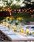 Backyard Outdoor Party Ideas For Adults