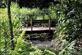 Photo Des Ponts Du Jardin Des Olfacties Les Photos De Kordouane