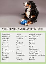 39 Healthy Treats You Can Stuff In A Kong Dogs Puppies Dog Info
