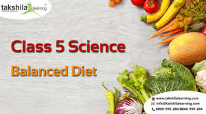 Class 5 Science Balanced Diet Proteins Nutrients Pyramid