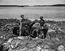 Battle of Arawe - Wikipedia