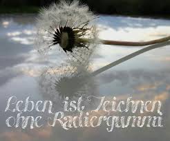 Pin Von Emily Niemeyer Auf Truth Lebensweisheiten Spruche Weisheiten Spruche Spruche