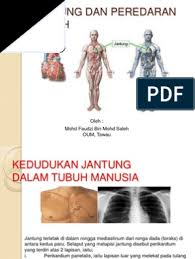Simak obat sakit jantuang dan pengobatan penyakit jantung berikut ini. Sistem Jantung Dan Saluran Darah 3