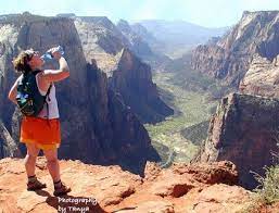 Observation Point R Jpg Zion Park Road Trip Usa Zion National Park