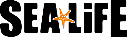 Andere versionen dieser datei anmerkungen diese datei stellt ein logo oder ein ähnliches objekt dar. Rtl Logo Vector Svg 2 38 Kb Download Free Cdnlogo