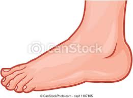 Фут → фут гунтера (межевой), surveyors' foot (ft). Fuss Stehende Human Foot Stehende Abbildung Fuss Vektor Foot Human Canstock