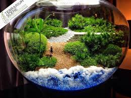 Holidayvasesdecor Miniature Garden Mini Garden Garden Terrarium