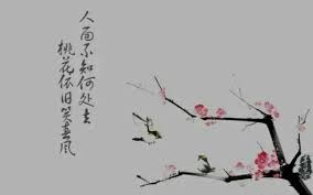 今夕何夕最新章节 搴舟中流 今夕何夕免费全文阅读 汤圆创作 home decor decals home decor decor