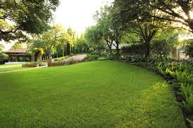 Austin Garden Design Studio Mexican Garden Garden Design Home Landscaping