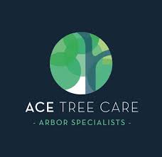 Ace tower hire's access equipment plant is used for all activities working at great heights. Ace Tree Care Home Facebook