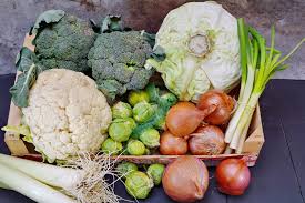 What do brits eat during christmas dinner? Harvest Christmas Vegetables The English Garden