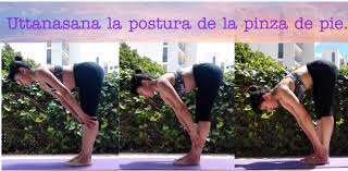 La Pinza De Pie Yoga Uttanasana Iyengar Uttanasana Principiantes Como Hacer Uttanasana Yoga Posturas De Pie Flexiones