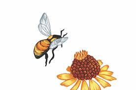 Florist and gift shop offering fresh flowers, silk arrangements, candles, soaps, greeting cards etc.with the. Planting For Pollinators