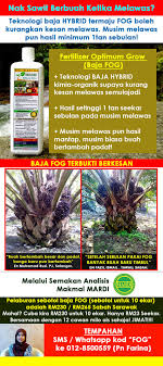 Info harga cpo dari petani ke pabrik industri sawit minggu ini mengalami kenaikan. Aptrade Baja Sawit Page 4