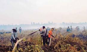 Serantau bagi mengatasi masalah pencemaran jerebu melalui. Asean Perlu Pelan Tindakan Tangani Kerugian Akibat Jerebu