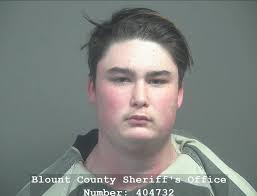 WOODHAM, JOHNNY AIDEN-RAY Charges: CRIMINAL IMPERSONATION This information  and more is available https://apps.myocv.com/share/a95737804