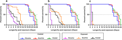 Image result for Aeollanthus pubescens