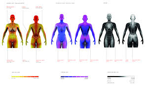 These planes are imaginary lines ? Data For Human Body Analysis Left The Muscular Anatomy Indicates The Download Scientific Diagram