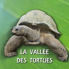 Difusion centro de investigacion y publicaciones de idiomas s.l. Vallee Des Tortues Vallee Tortues Twitter