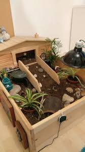 We believe that doing up your home is always a. My Tortoise Enclosure With A Few Christmas Decorations Tortoise Enclosure Tortoise Care Turtle Habitat