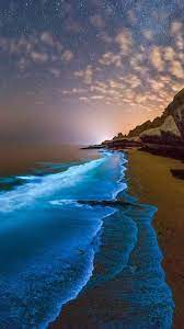 Bioluminescent Phytoplankton In Persian Gulf An Immersive Guide By Ann Brid